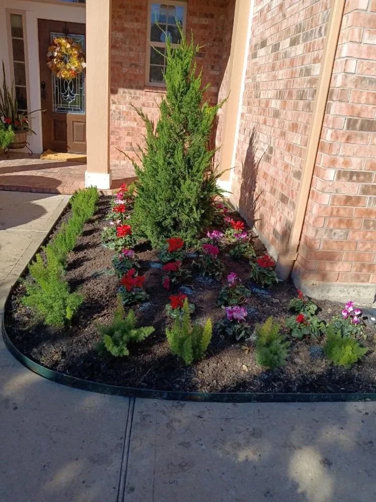 Expert landscaping services near you across Houston, TX - Arreola Landscaping