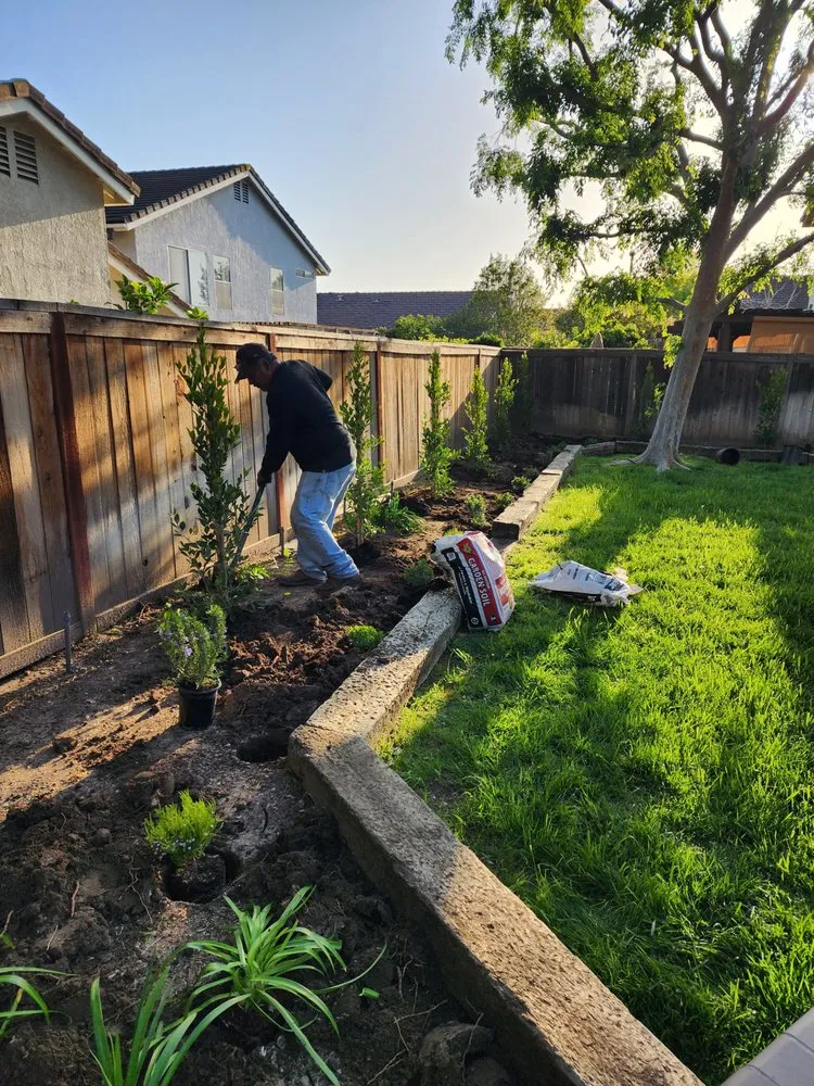 Top-rated residential landscaping in San Clemente, CA - Arreola Landscaping