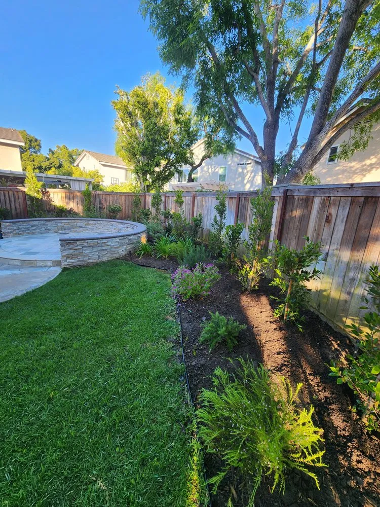 Professional garden landscaping for residential properties across San Clemente, CA - Arreola Landscaping