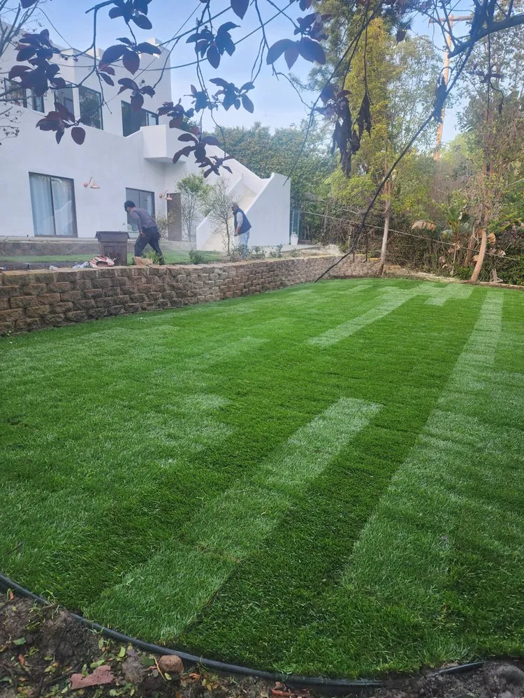 Top-rated yard maintenance in San Clemente, CA by Arreola Landscaping