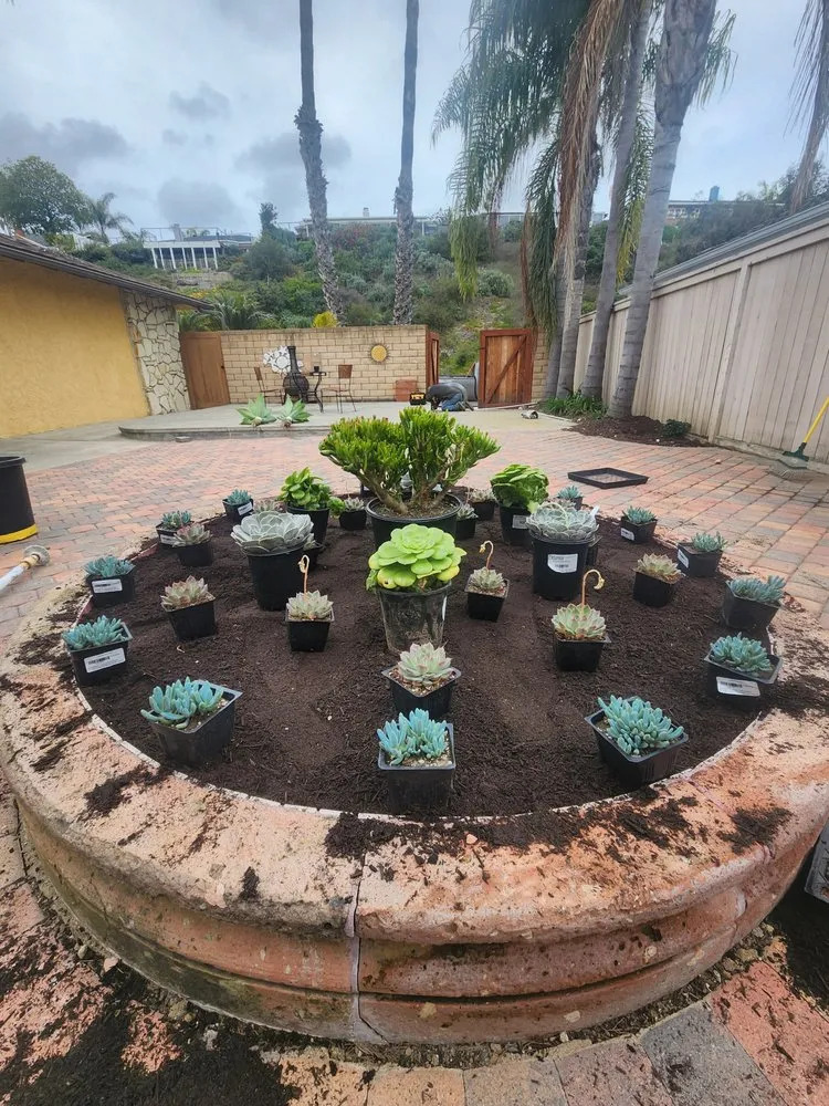 Top-rated residential landscaping in San Clemente, CA - Arreola Landscaping