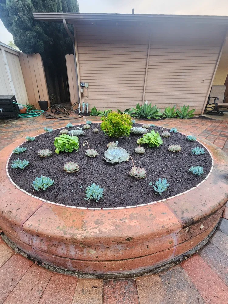 Reliable landscape design in San Clemente, CA - Arreola Landscaping