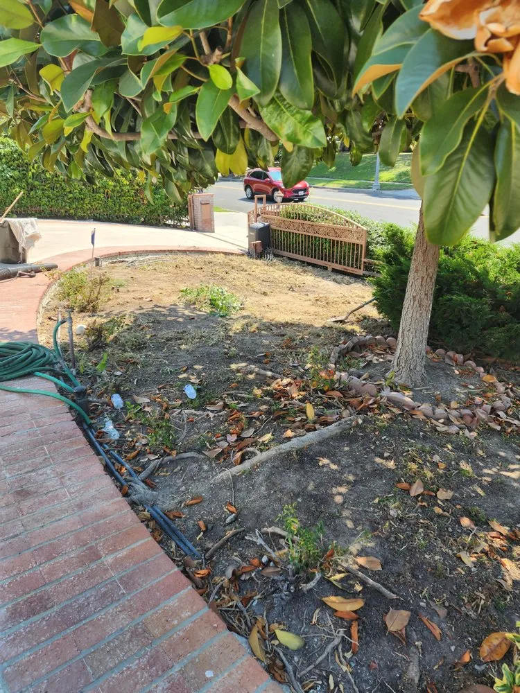 Local landscape design for homes in San Clemente, CA by Arreola Landscaping