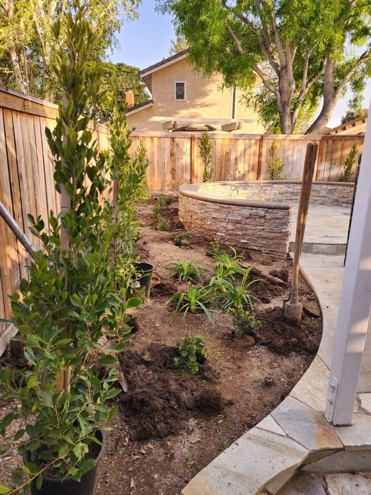 Expert landscaping services experts serving San Clemente, CA - Arreola Landscaping