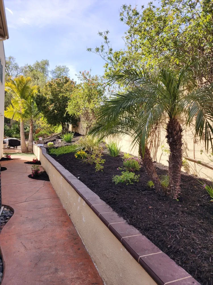Custom yard cleanup service for homes in San Clemente, CA by Arreola Landscaping