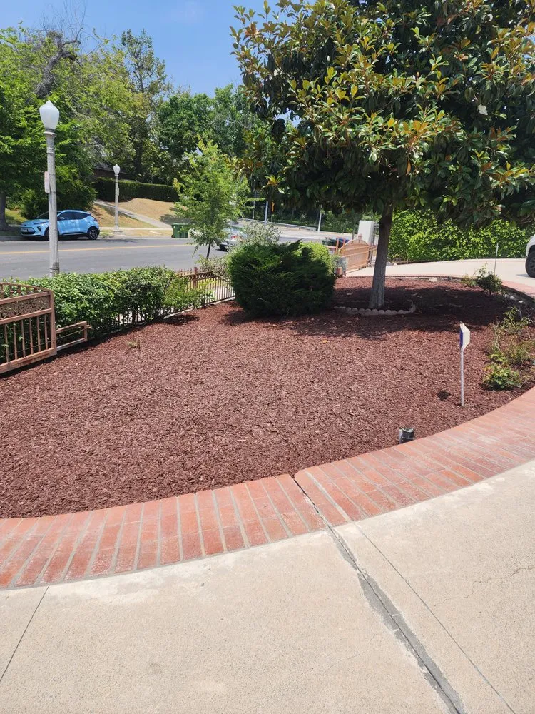 Custom outdoor landscaping experts serving San Clemente, CA - Arreola Landscaping