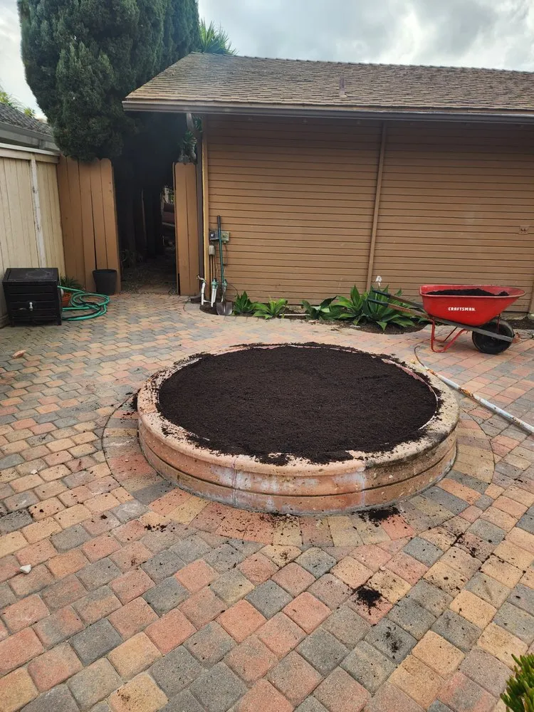 Trusted yard maintenance in San Clemente, CA - Arreola Landscaping