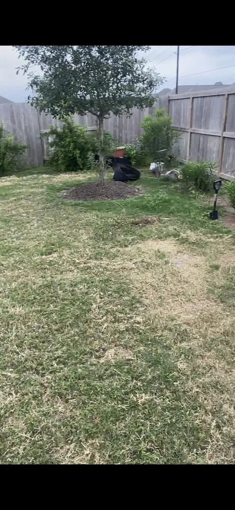 Custom residential landscaping for homes in Manvel, TX by Arreola’s Cleaning Services