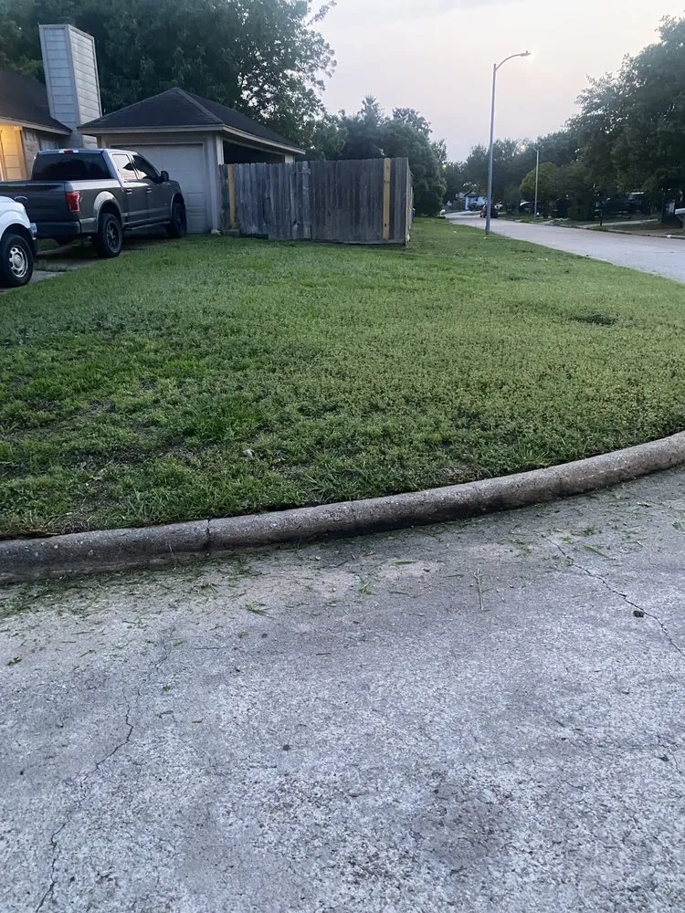 Custom landscaping services in Manvel, TX - Arreola’s Cleaning Services