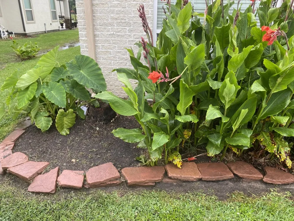 Professional landscape design for beautiful yards across Manvel, TX - Arreola’s Cleaning Services