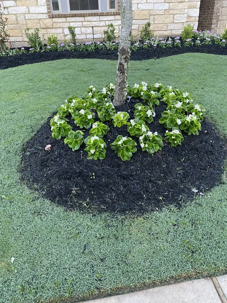 Reliable lawn care service in Manvel, TX - Arreola’s Cleaning Services