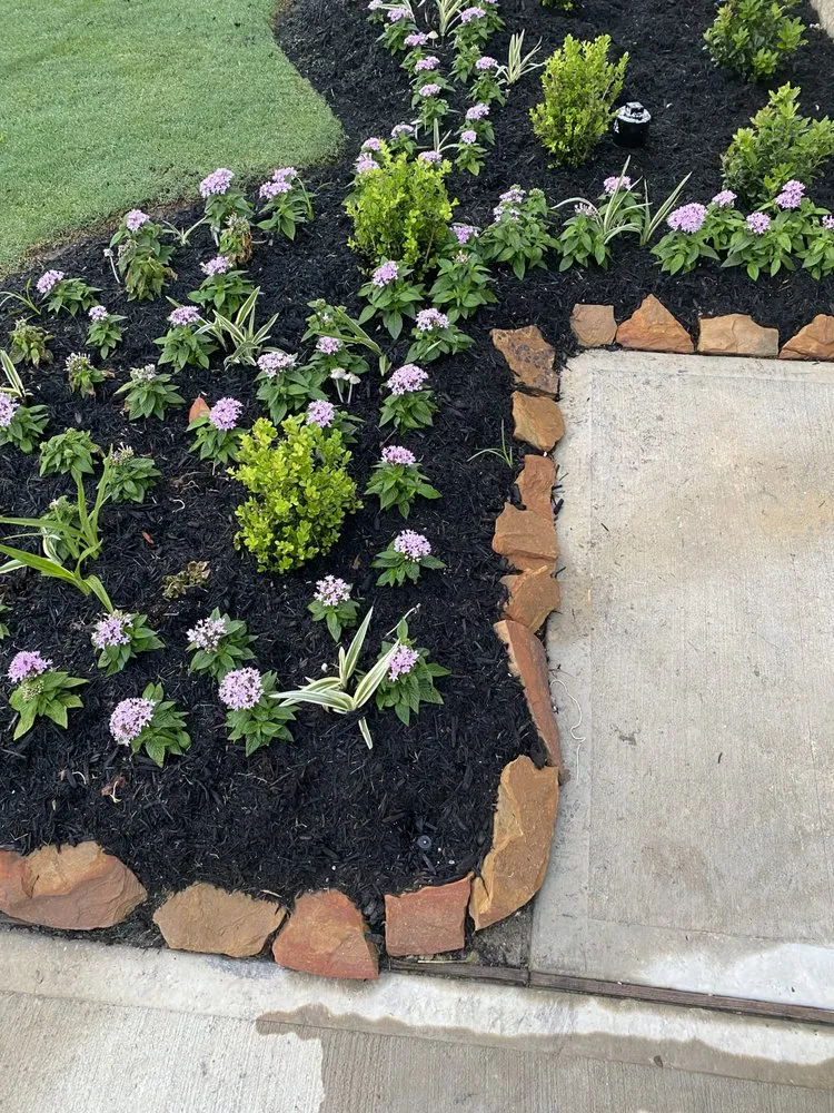 Professional landscape installation in Manvel, TX - Arreola’s Cleaning Services