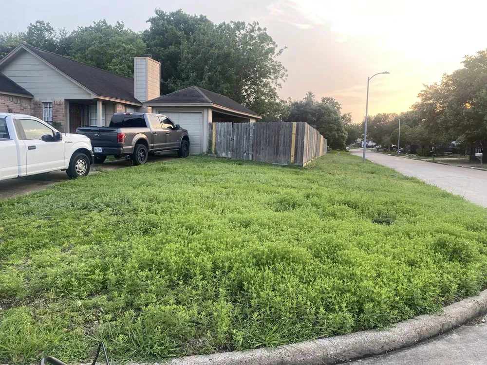 Expert yard maintenance for outdoor upgrades across Manvel, TX - Arreola’s Cleaning Services