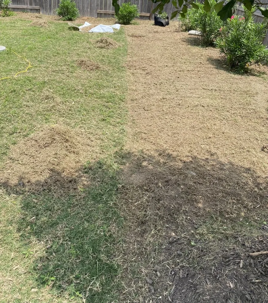 Expert garden landscaping for beautiful yards across Manvel, TX - Arreola’s Cleaning Services