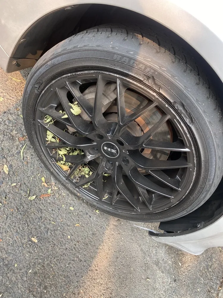 Custom yard maintenance experts serving Sacramento, CA - Arreola's Complete Landscape Service