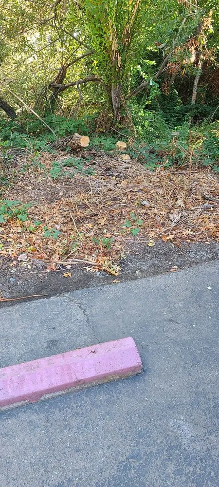 Local lawn care service for beautiful yards in Sacramento, CA by Arreola's Complete Landscape Service