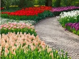 Trusted landscaping services in Sacramento, CA - Arreola's Complete Landscape Service