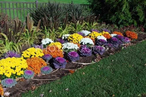 Local garden landscaping experts serving Sacramento, CA - Arreola's Complete Landscape Service