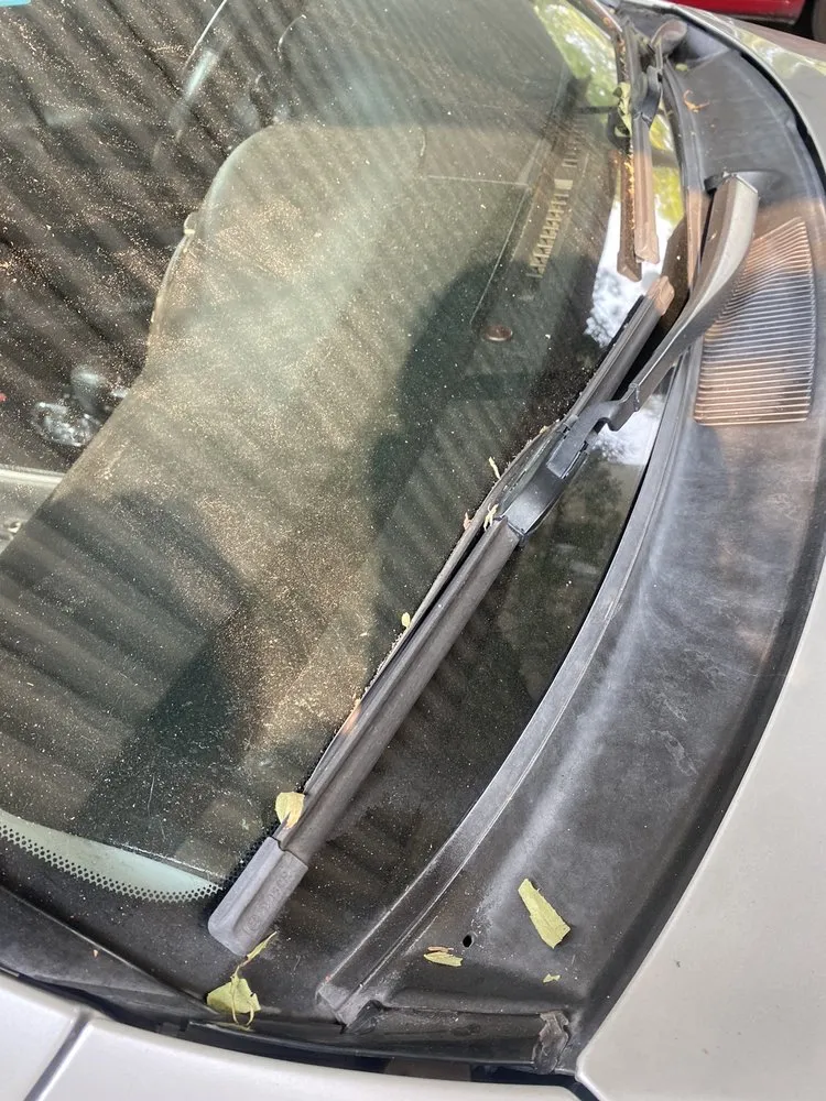 Custom lawn mowing service experts serving Sacramento, CA - Arreola's Complete Landscape Service