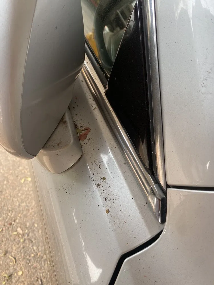 Expert landscape design for homes across Sacramento, CA - Arreola's Complete Landscape Service