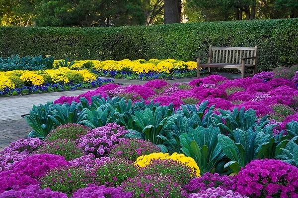 Top-rated landscape installation for beautiful yards across Sacramento, CA - Arreola's Complete Landscape Service