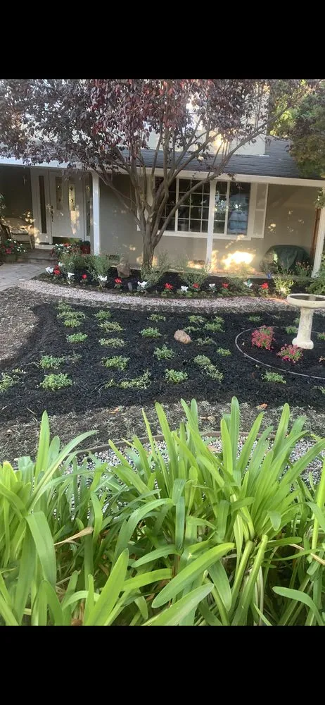 Affordable residential landscaping in Cupertino, CA by Arreola's Landscaping