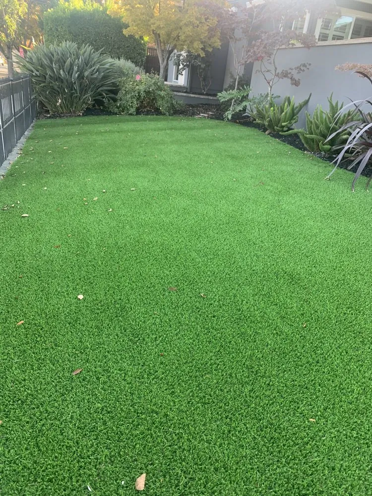 Local landscape installation in Cupertino, CA by Arreola's Landscaping