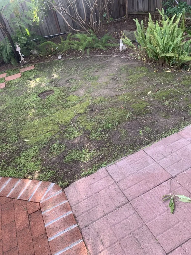 Expert garden landscaping experts serving Cupertino, CA - Arreola's Landscaping