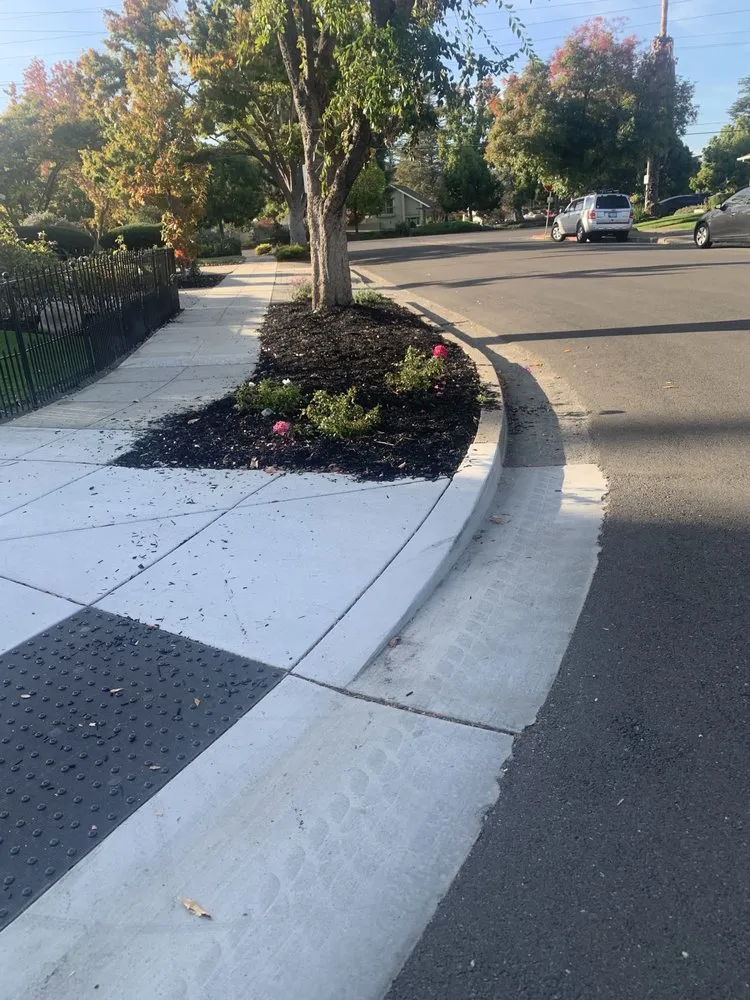 Expert landscaping services for year-round maintenance in Cupertino, CA by Arreola's Landscaping