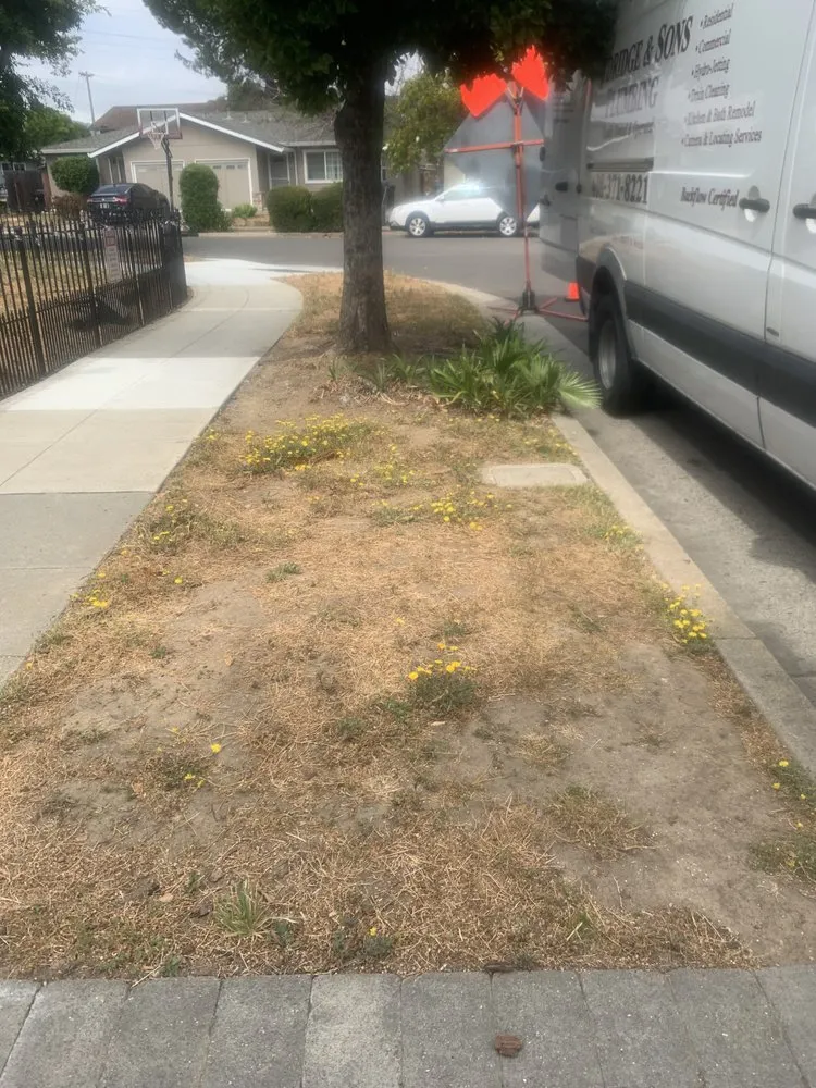 Top-rated landscape design experts serving Cupertino, CA - Arreola's Landscaping