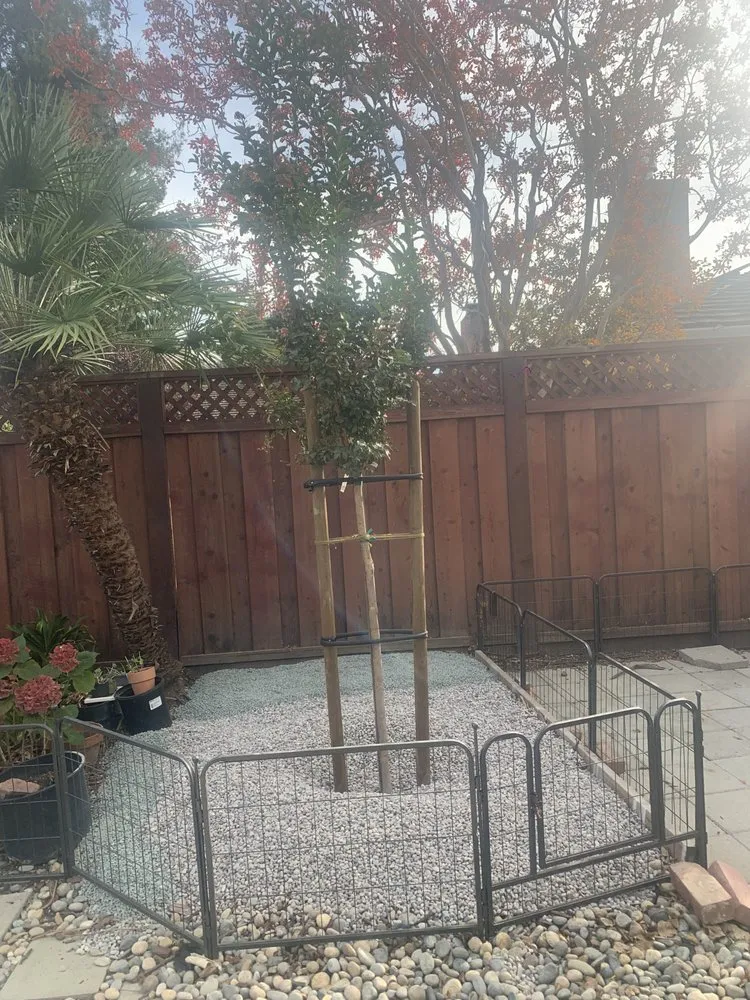 Affordable landscape design for homes across Cupertino, CA - Arreola's Landscaping