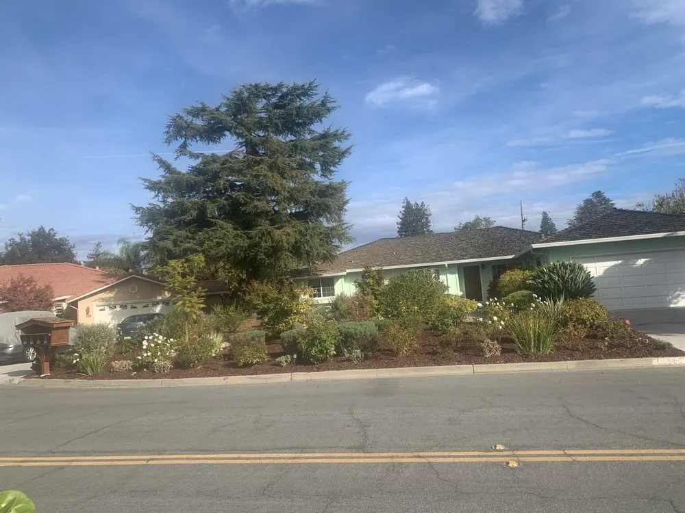 Affordable landscape design experts serving Cupertino, CA - Arreola's Landscaping