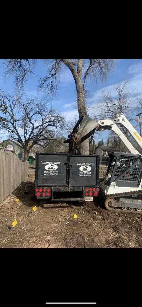 Trusted residential landscaping in Cupertino, CA by Arreola's Landscaping