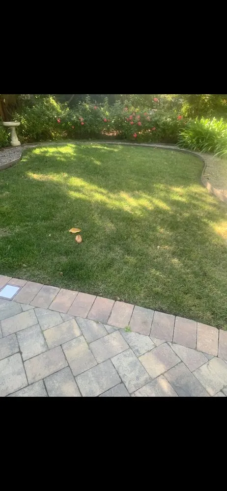 Top-rated garden landscaping in Cupertino, CA - Arreola's Landscaping