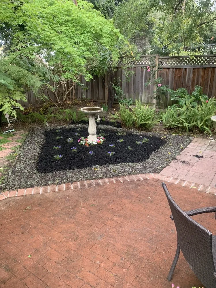 Local outdoor landscaping in Cupertino, CA by Arreola's Landscaping