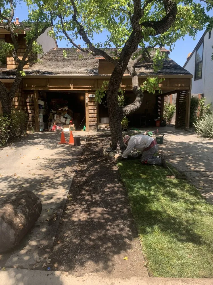 Expert landscape installation experts serving Cupertino, CA - Arreola's Landscaping