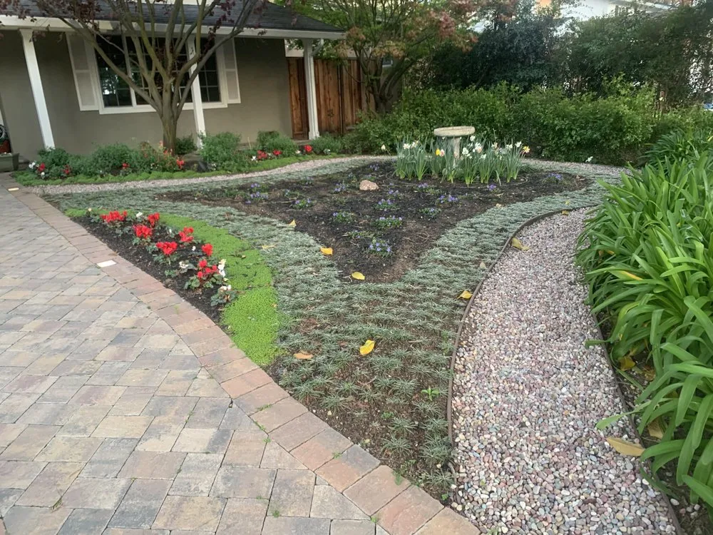 Trusted landscaping services for beautiful yards across Cupertino, CA - Arreola's Landscaping