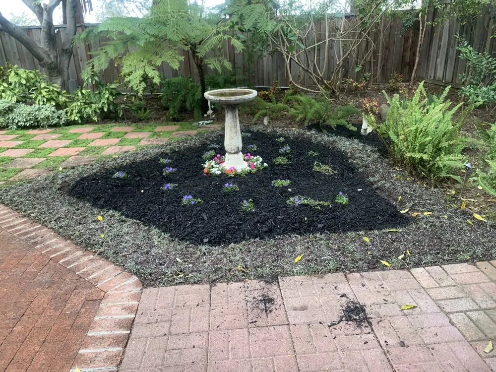 Reliable landscape design in Cupertino, CA by Arreola's Landscaping