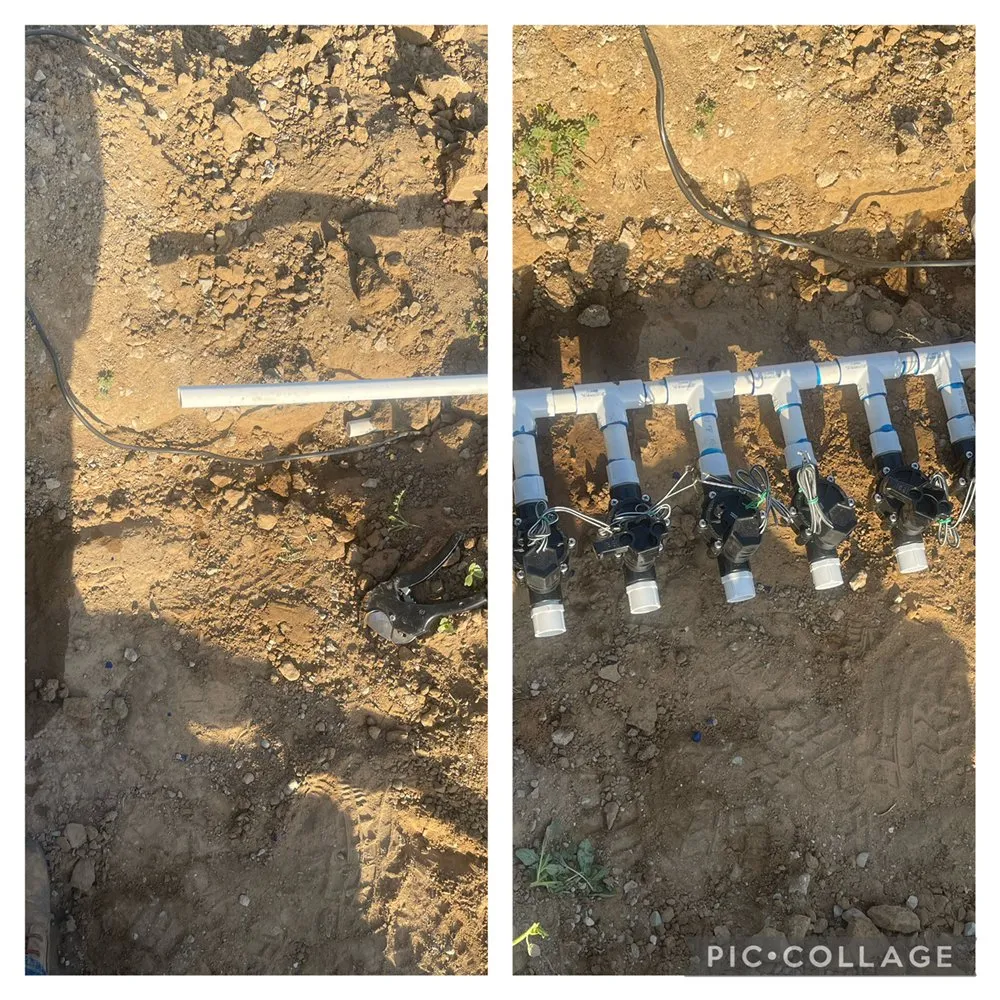 Expert yard cleanup service in Modesto, CA - Arreola’s Landscaping