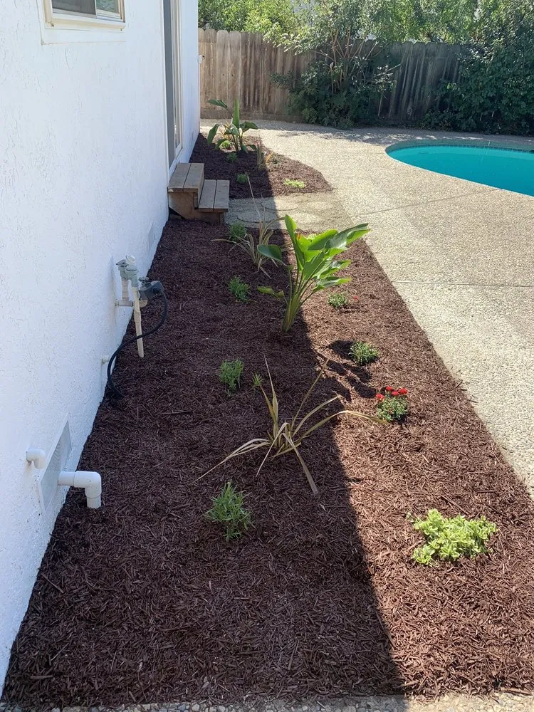 Affordable lawn care service for homes across Modesto, CA - Arreola’s Landscaping