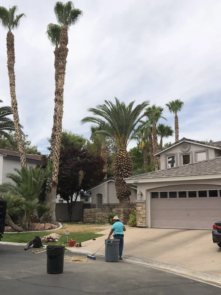 Professional garden landscaping for residential properties across North Las Vegas, NV - Arriaga's Lawn Service