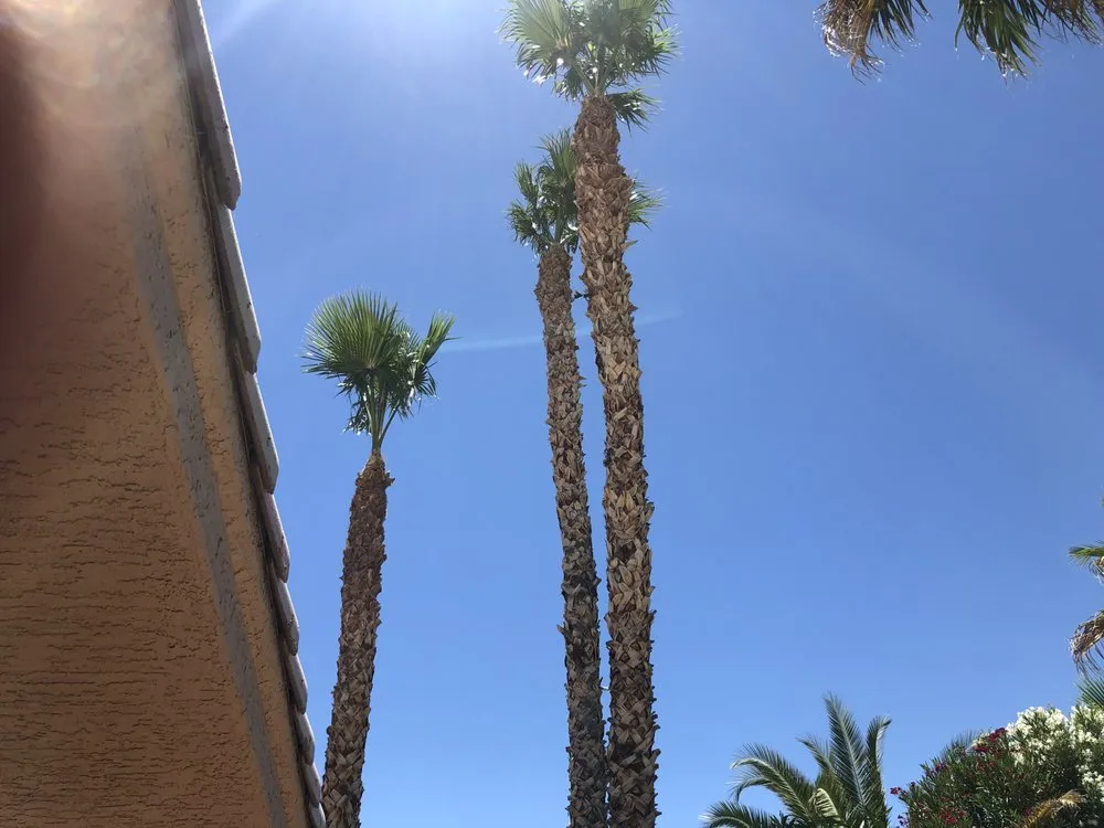 Trusted garden landscaping near you across North Las Vegas, NV - Arriaga's Lawn Service