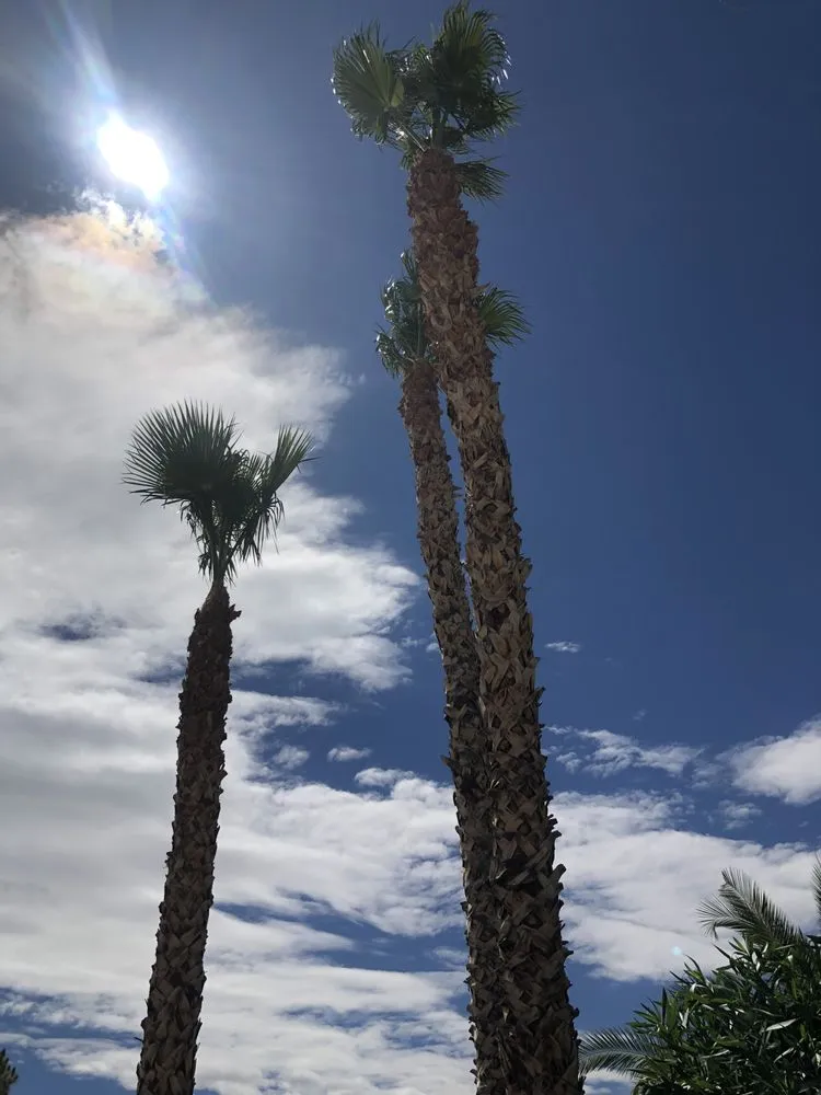 Expert outdoor landscaping for outdoor upgrades in North Las Vegas, NV by Arriaga's Lawn Service