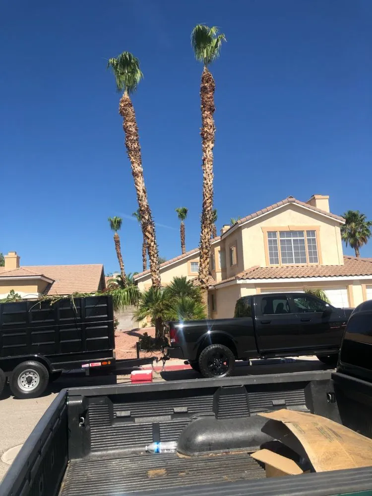 Affordable outdoor landscaping for year-round maintenance in North Las Vegas, NV by Arriaga's Lawn Service