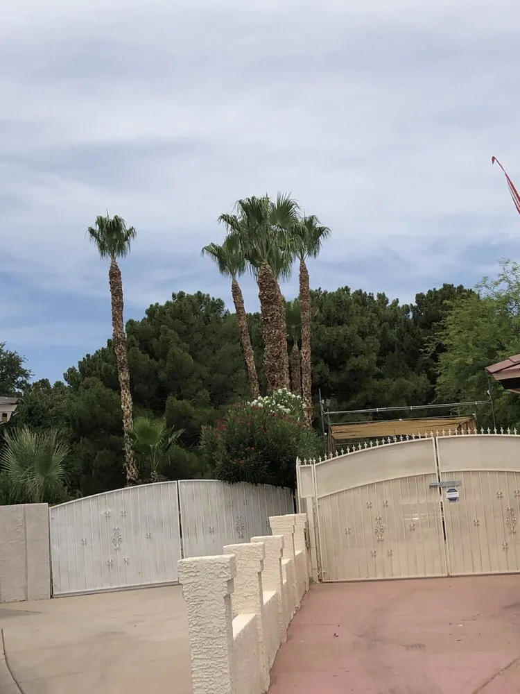 Expert yard cleanup service for residential properties in North Las Vegas, NV by Arriaga's Lawn Service