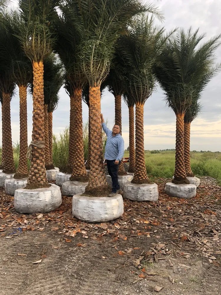 Professional residential landscaping for homes in Hialeah, FL by Arrieta Landscape