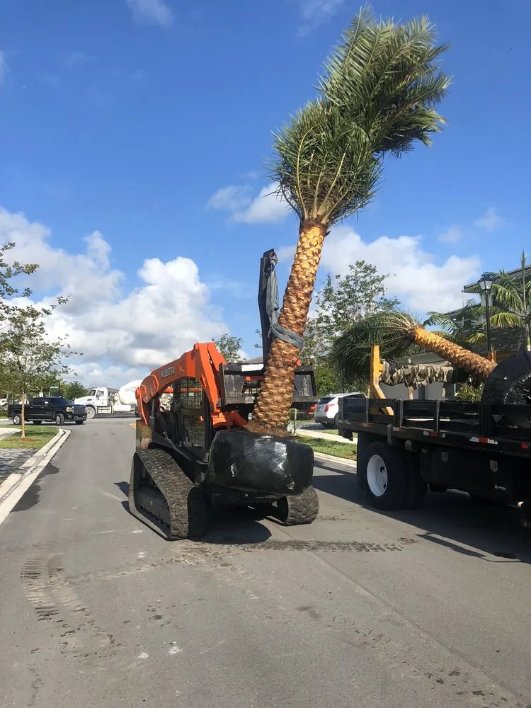 Affordable landscaping services experts serving Hialeah, FL - Arrieta Landscape