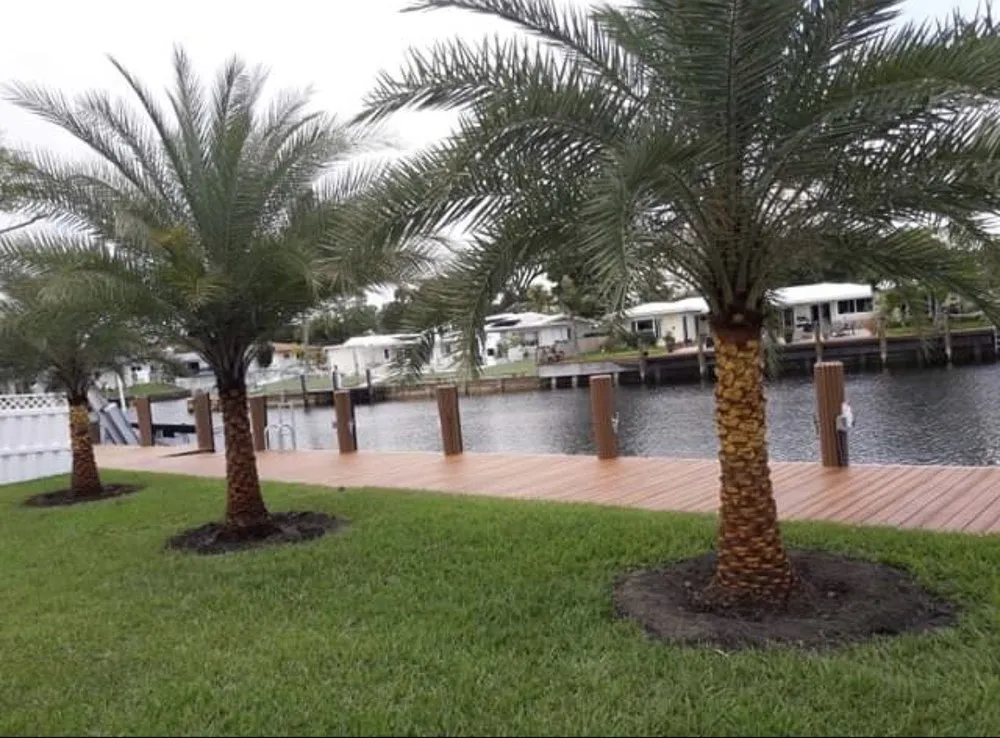 Trusted residential landscaping for residential properties across Hialeah, FL - Arrieta Landscape
