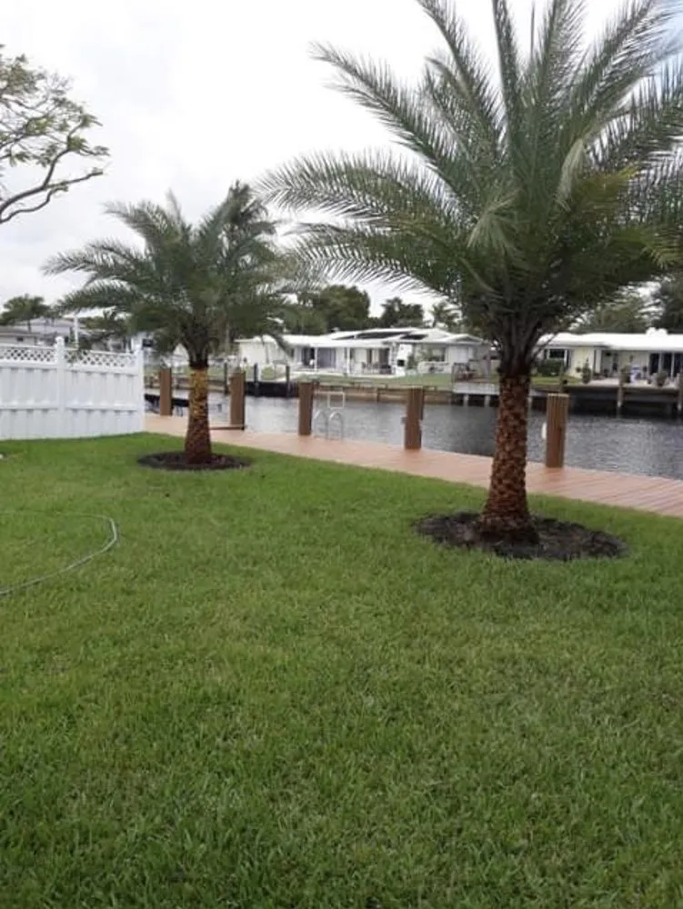 Custom yard cleanup service in Hialeah, FL by Arrieta Landscape