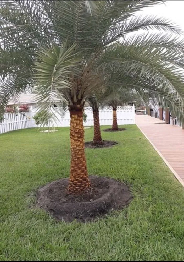 Trusted landscaping services for homes across Hialeah, FL - Arrieta Landscape